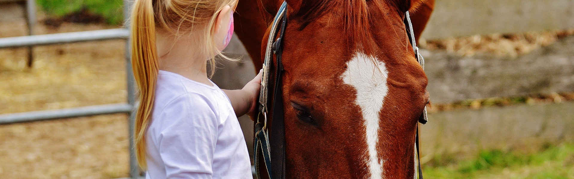 SERT Equestrian Activities for Children